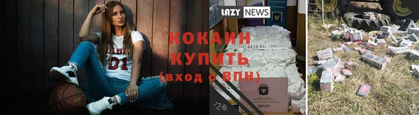 твердый Верхний Тагил