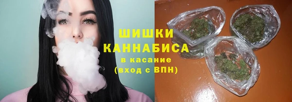 твердый Верхний Тагил