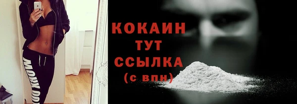 твердый Верхний Тагил
