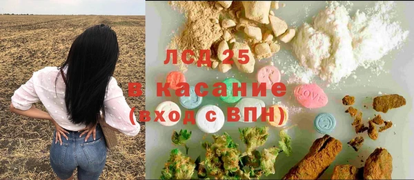 ГАЛЛЮЦИНОГЕННЫЕ ГРИБЫ Белоозёрский
