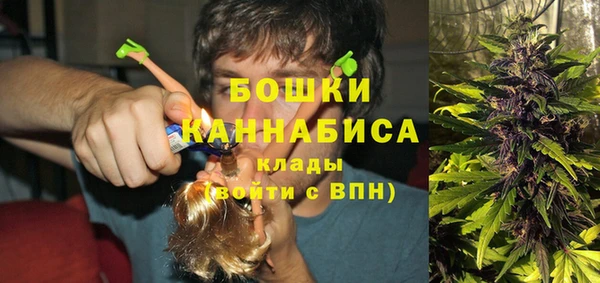 амфетамин Белокуриха