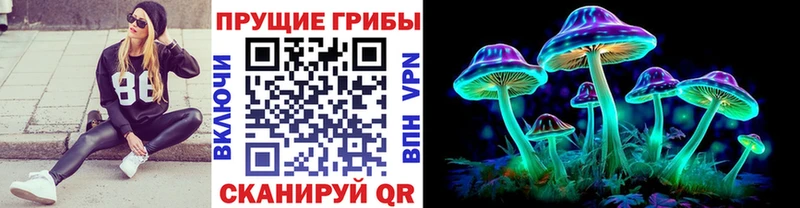 цены наркотик  Тында  Галлюциногенные грибы мухоморы 